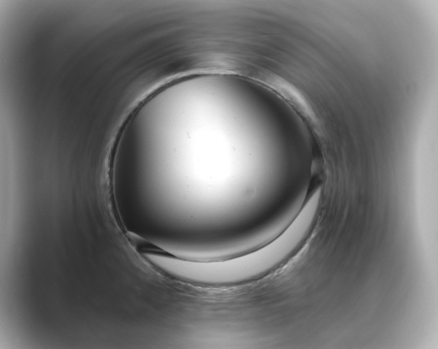 X0000088841192200706211827