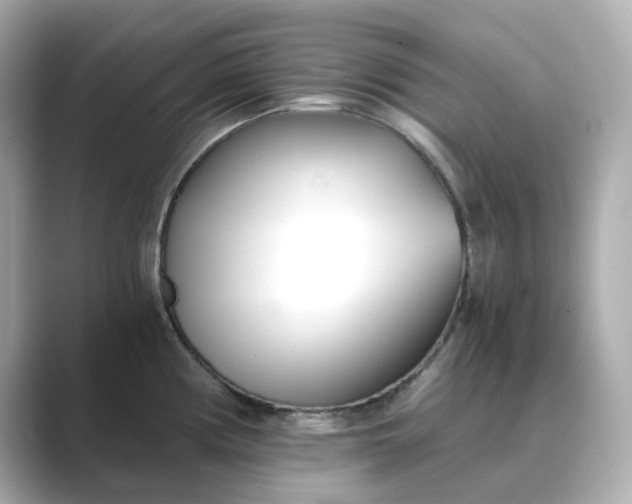 X0000088841194200706211827