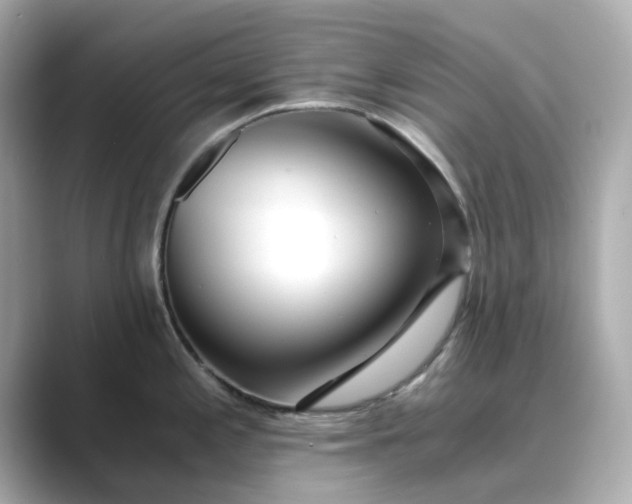 X0000088841197200706211827