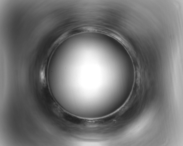 X0000088841198200706211827