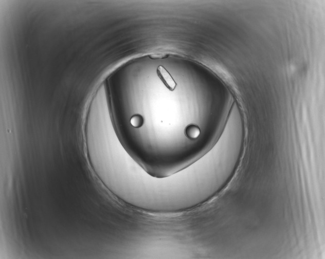 X0000088841200200706211827