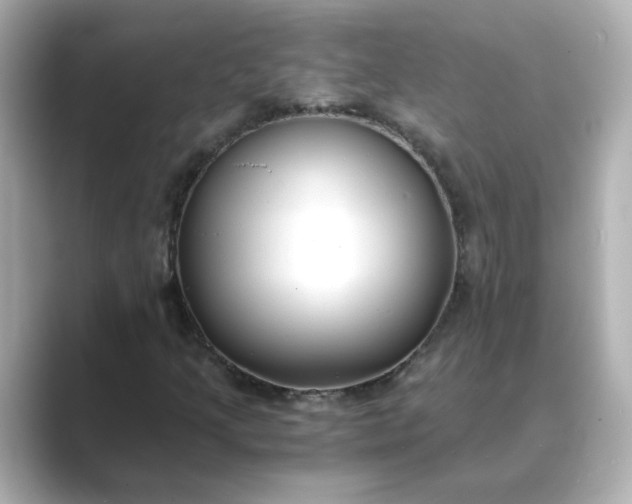 X0000088841205200706211827