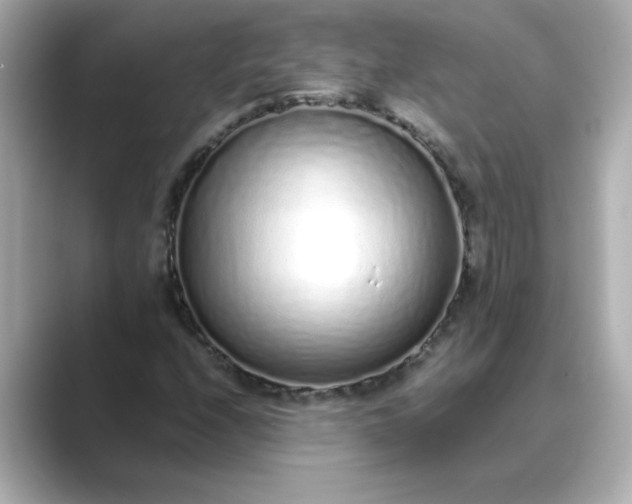 X0000088841208200706211827