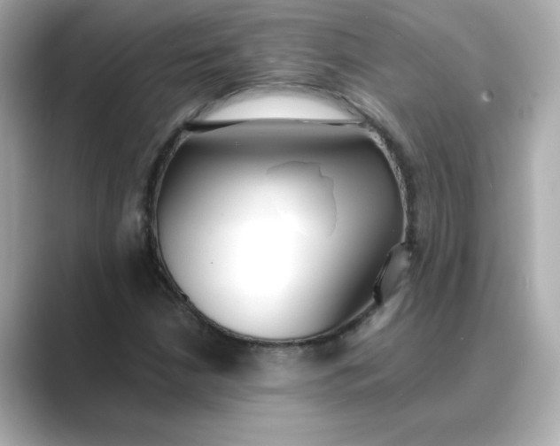 X0000088841210200706211827