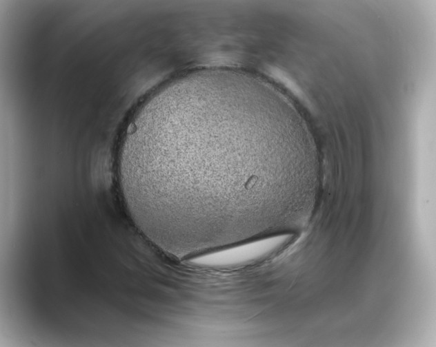 X0000088841213200706211827