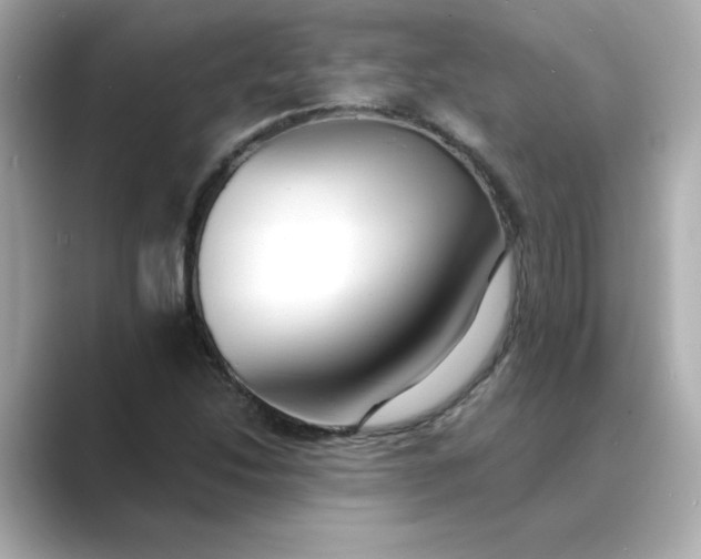 X0000088841214200706211827