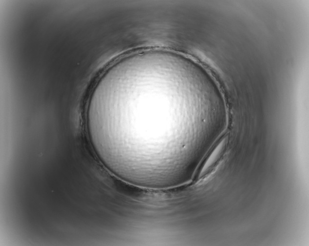 X0000088841215200706211827