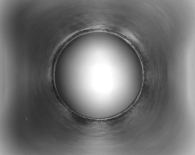 X0000088841216200706211827