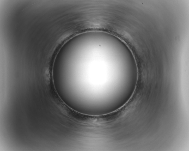 X0000088841218200706211827