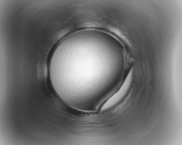 X0000088841221200706211827