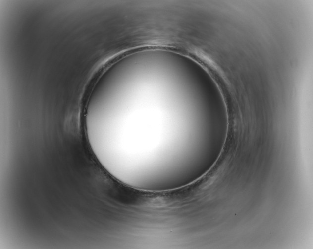 X0000088841222200706211827