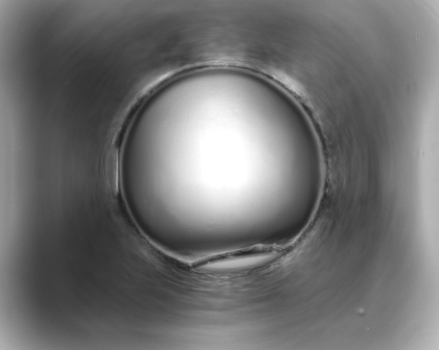 X0000088841223200706211827