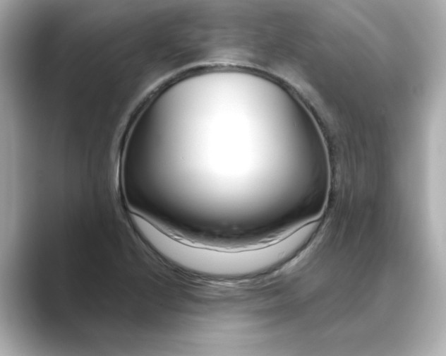 X0000088841224200706211827