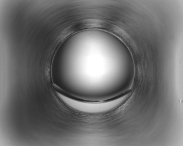 X0000088841225200706211827