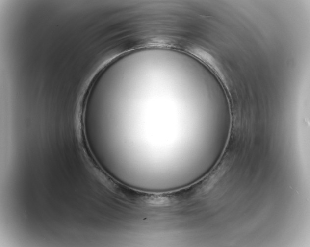 X0000088841235200706211827