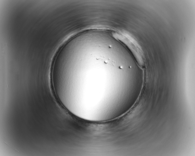 X0000088841237200706211827