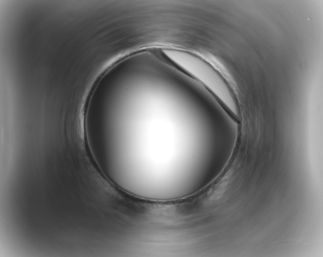 X0000088841238200706211827