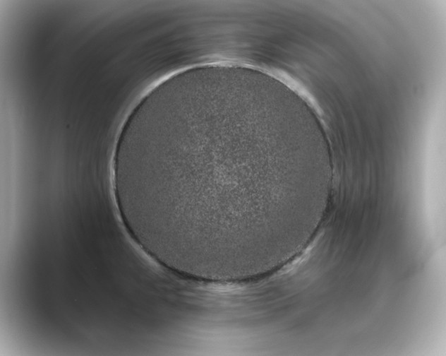 X0000088841239200706211827