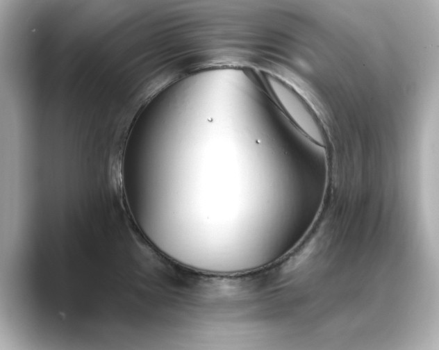 X0000088841241200706211827