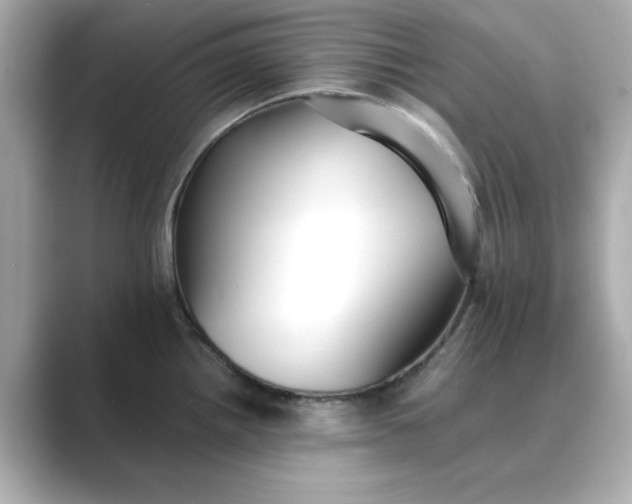 X0000088841242200706211827