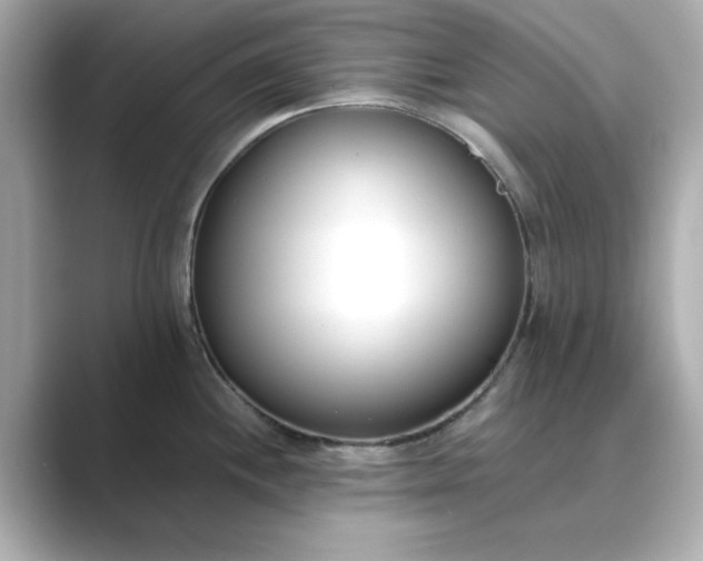 X0000088841244200706211827