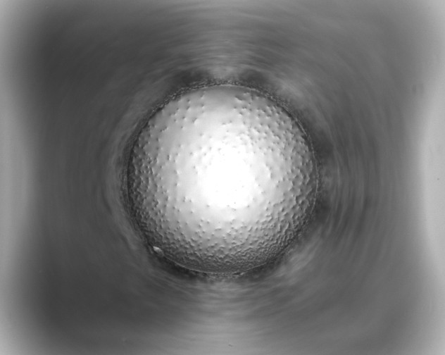 X0000088841249200706211827