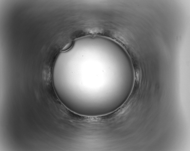 X0000088841251200706211827