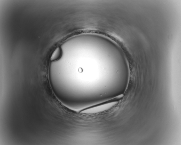 X0000088841255200706211827