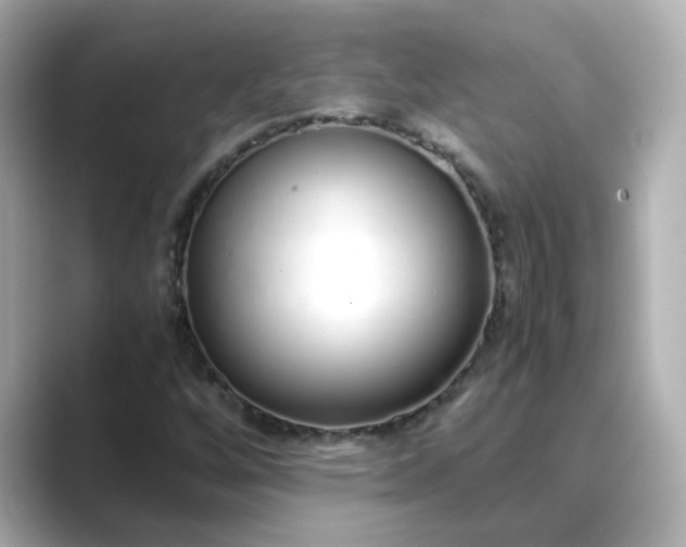 X0000088841256200706211827