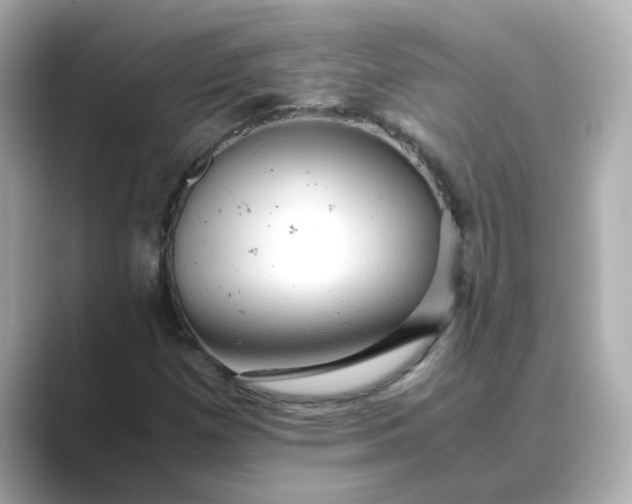 X0000088841257200706211827