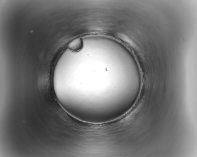 X0000088841259200706211827