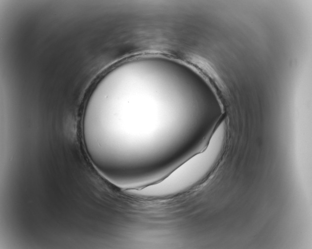 X0000088841260200706211827