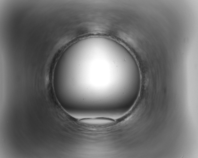 X0000088841261200706211827