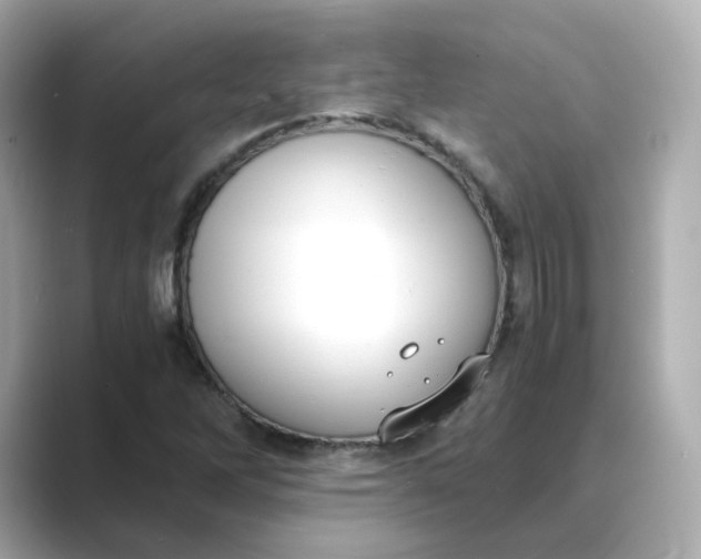 X0000088841262200706211827