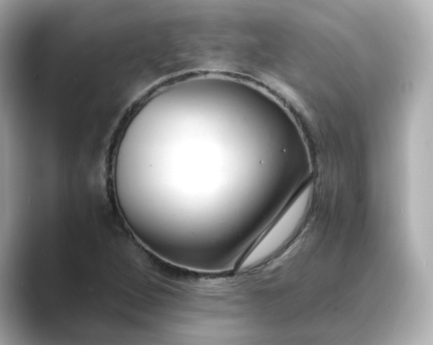 X0000088841264200706211827