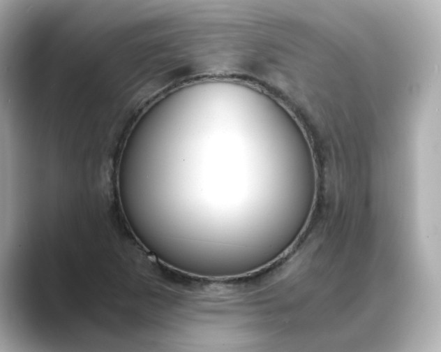 X0000088841265200706211827