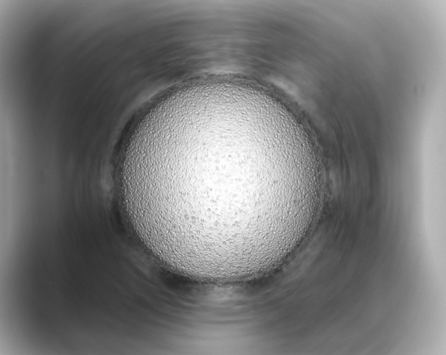 X0000088841266200706211827