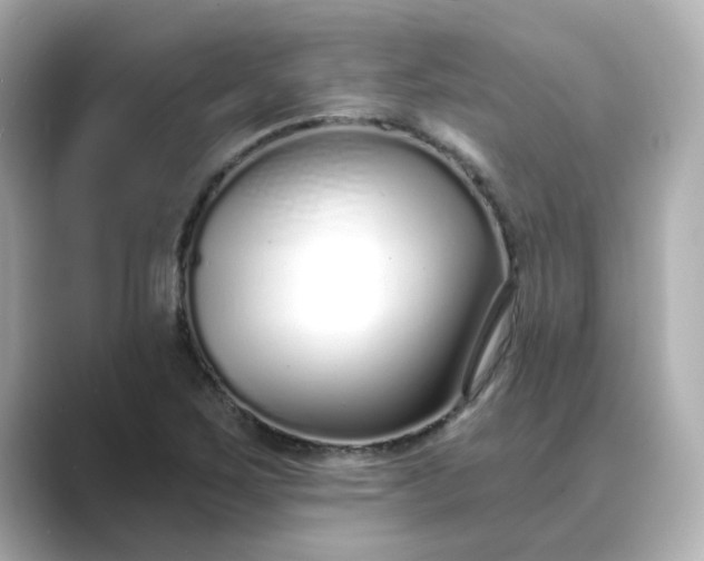 X0000088841267200706211826