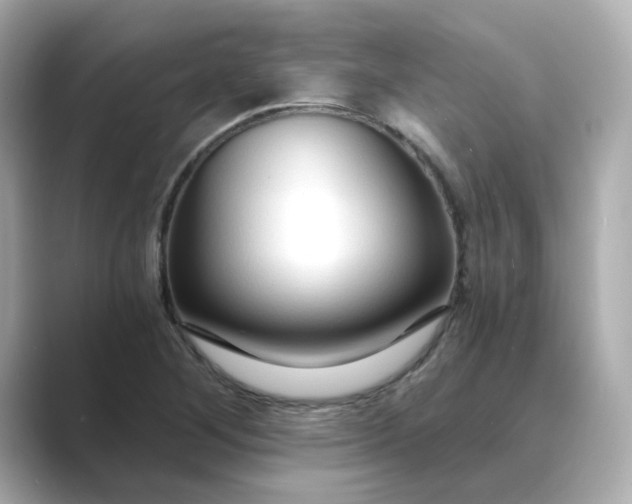 X0000088841268200706211826