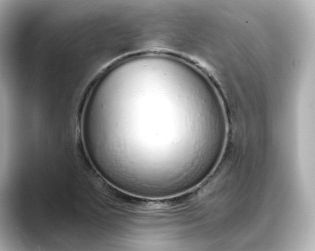 X0000088841271200706211826