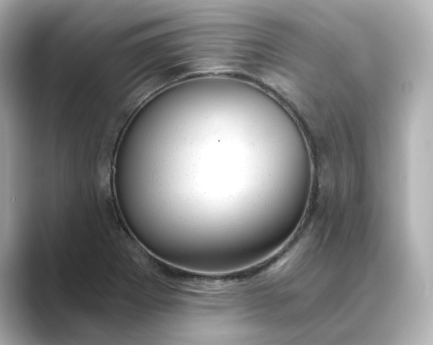 X0000088841273200706211826