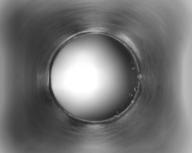 X0000088841276200706211826