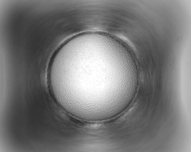 X0000088841278200706211826