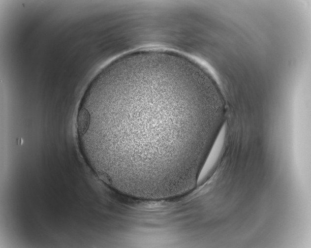 X0000088841279200706211826