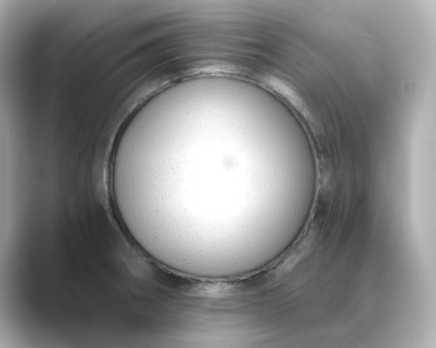 X0000088841282200706211826