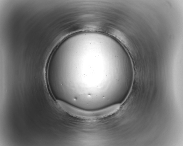 X0000088841283200706211826