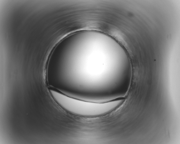 X0000088841284200706211826