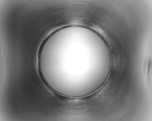 X0000088841286200706211826