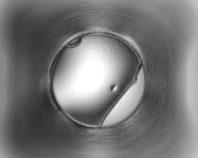 X0000088841287200706211826