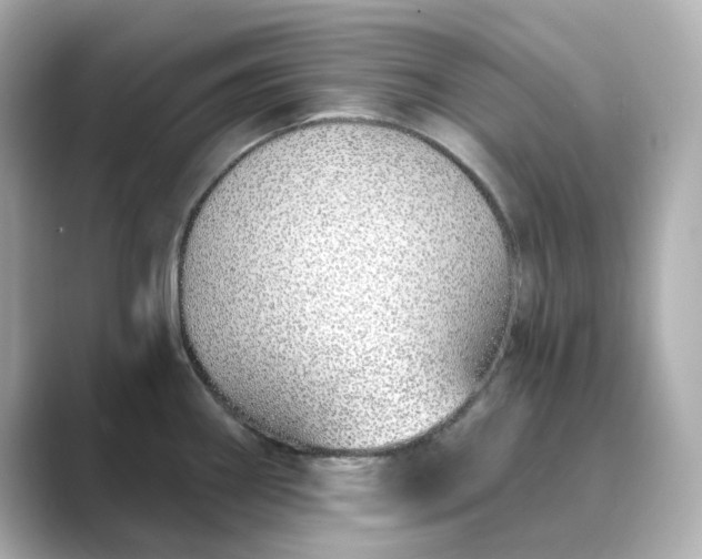 X0000088841290200706211826